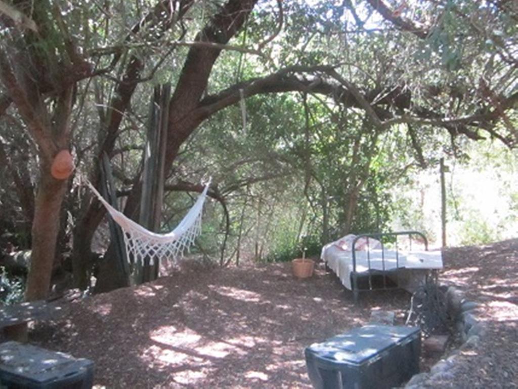 Cabana De Adobe En Lago Rapel Rom bilde