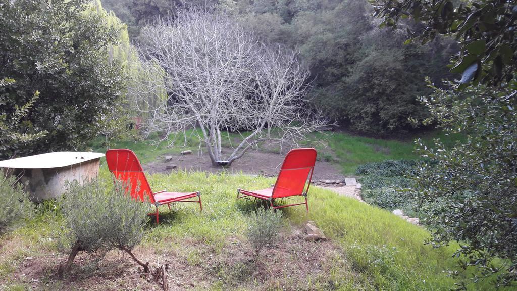 Cabana De Adobe En Lago Rapel Eksteriør bilde